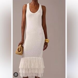 J. Crew Fringe Trip Knit Dress